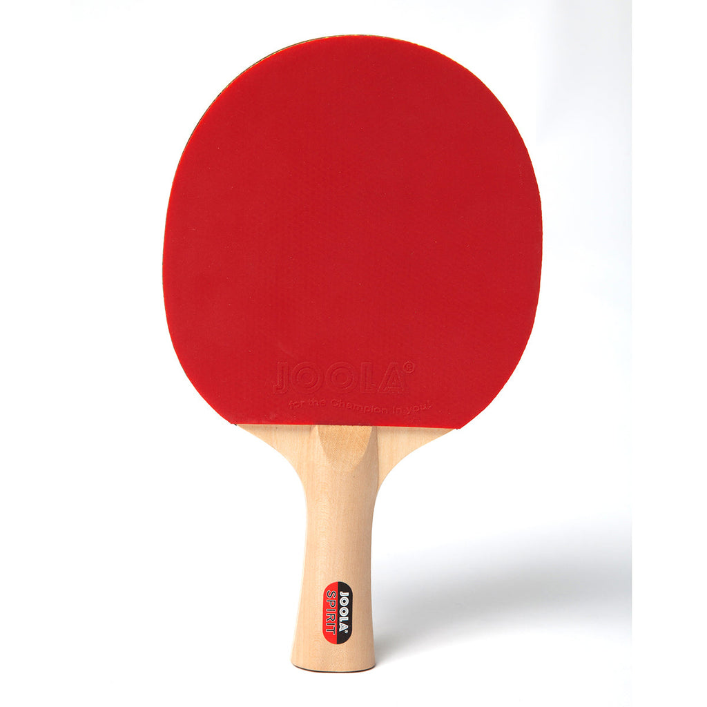 JOOLA Family Table Tennis Rackets & Balls Set