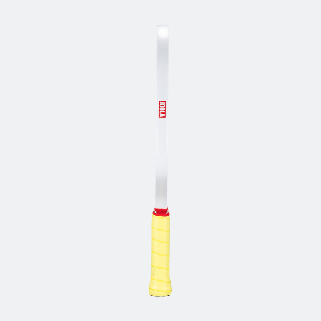 JOOLA Astral Pickleball Paddle